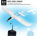 Playsteam Falcon 800 2.4GHz RC Plane