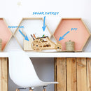 Templeton Educational Solar Powered Car STEM Building Kit