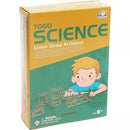 Playsteam XP01601 Green Straw Architects