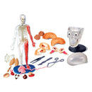 63152878-1684-4ff5-9238-36d95bf6ce0e_1