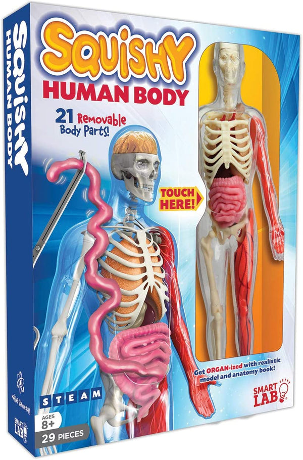 SmartLab Squishy Human Body