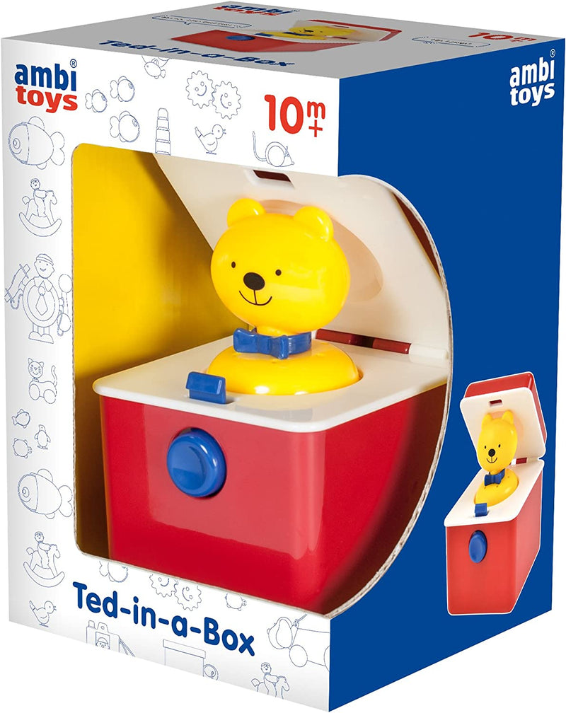 Ambi Ted-in-A-Box