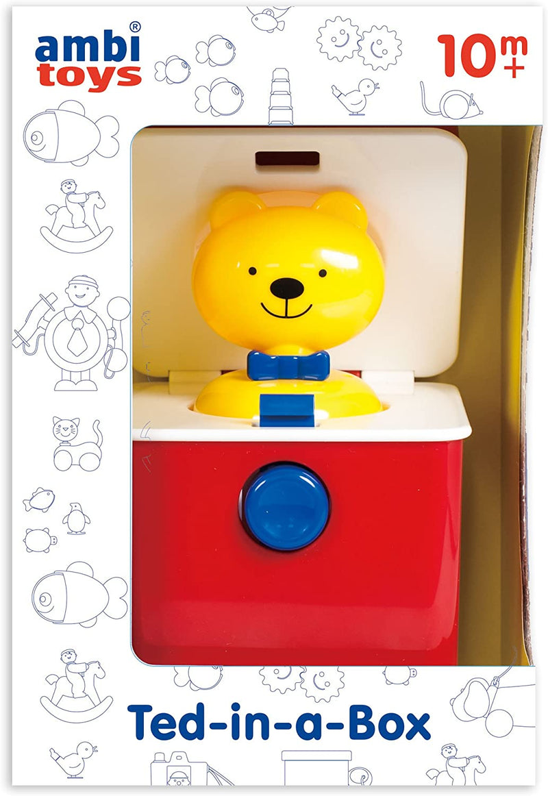Ambi Ted-in-A-Box